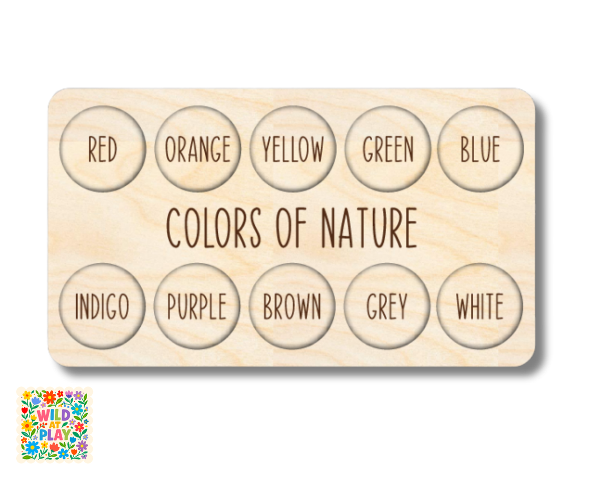 Unfinished Wood Colors of Nature Board | Wild at Play | 2pc |  12" | 1/4" Wood | DIY Craft Cutout |
