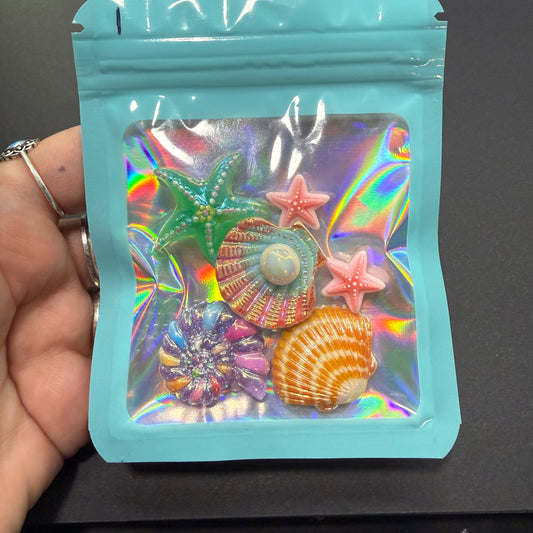 Seashells for July’s project