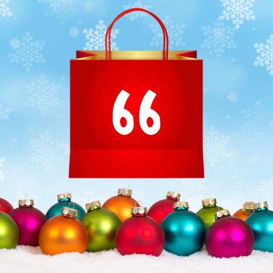 Bag 66